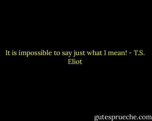 It is impossible to say just what I mean! - T.S. Eliot