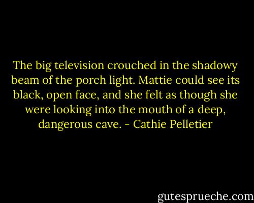 The big television crouched in the shadowy beam of the porch light. Mattie could see its black, open face, and she felt as though she were looking into the mouth of a deep, dangerous cave. - Cathie Pelletier