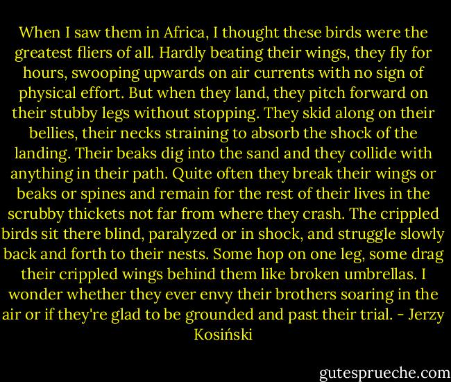 When I saw them in Africa, I thought these birds were the greatest fliers of all. Hardly beating their wings, they fly for hours, swooping upwards on air currents with no sign of physical effort. But when they land, they pitch forward on their stubby legs without stopping. They skid along on their bellies, their necks straining to absorb the shock of the landing. Their beaks dig into the sand and they collide with anything in their path. Quite often they break their wings or beaks or spines and remain for the rest of their lives in the scrubby thickets not far from where they crash. The crippled birds sit there blind, paralyzed or in shock, and struggle slowly back and forth to their nests. Some hop on one leg, some drag their crippled wings behind them like broken umbrellas. I wonder whether they ever envy their brothers soaring in the air or if they're glad to be grounded and past their trial. - Jerzy Kosiński