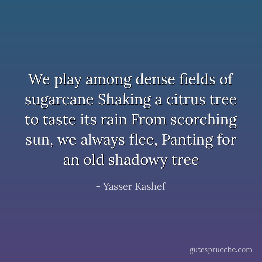 We play among dense fields of sugarcane<br />Shaking a citrus tree to taste its rain<br />From scorching sun, we always flee,<br />Panting for an old shadowy tree - Yasser Kashef