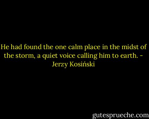 He had found the one calm place in the midst of the storm, a quiet voice calling him to earth. - Jerzy Kosiński