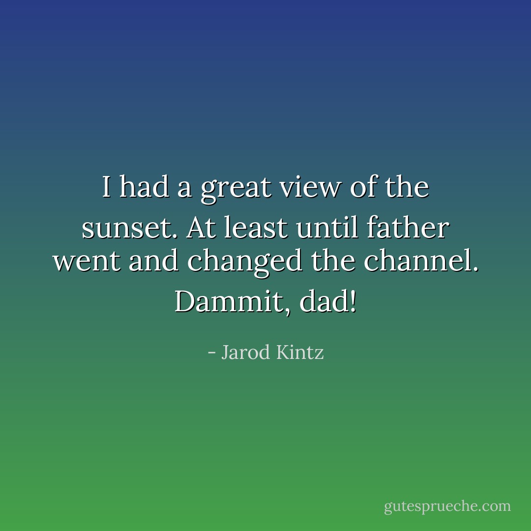 I had a great view of the sunset. At least until father went and changed the channel. Dammit, dad! - Jarod Kintz