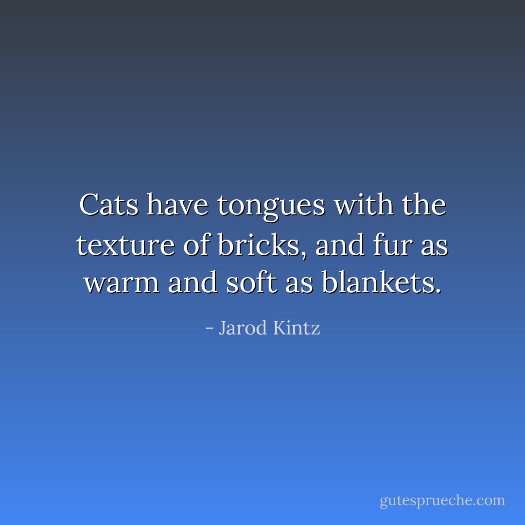 Cats have tongues with the texture of bricks, and fur as warm and soft as blankets. - Jarod Kintz