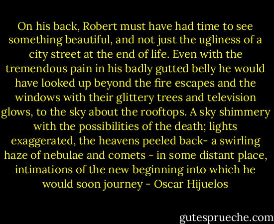 On his back, Robert must have had time to see something beautiful, and not just the ugliness of a city street at the end of life. Even with the tremendous pain in his badly gutted belly he would have looked up beyond the fire escapes and the windows with their glittery trees and television glows, to the sky about the rooftops. A sky shimmery with the possibilities of the death; lights exaggerated, the heavens peeled back- a swirling haze of nebulae and comets - in some distant place, intimations of the new beginning into which he would soon journey - Oscar Hijuelos
