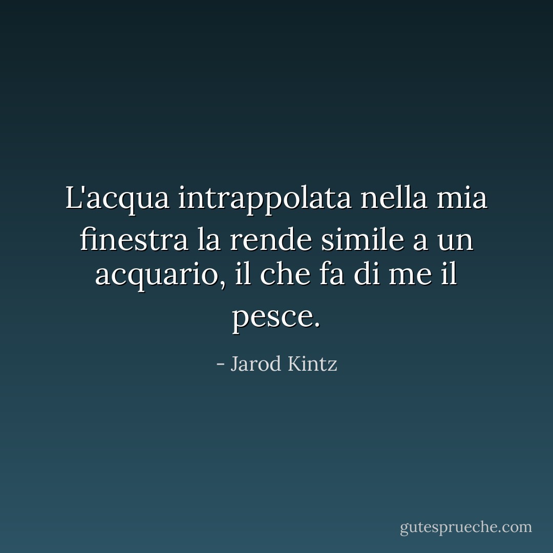 L'acqua intrappolata nella mia finestra la rende simile a un acquario, il che fa di me il pesce. - Jarod Kintz