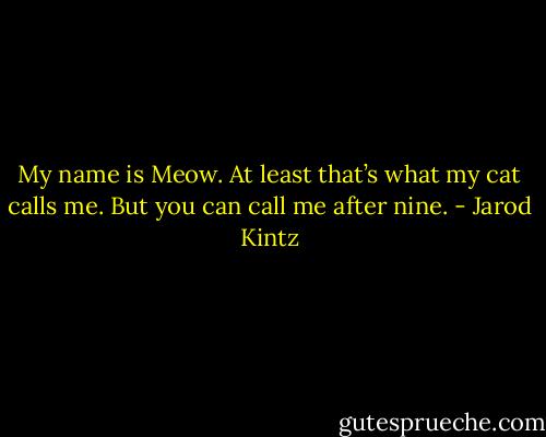 My name is Meow. At least that’s what my cat calls me. But you can call me after nine. - Jarod Kintz