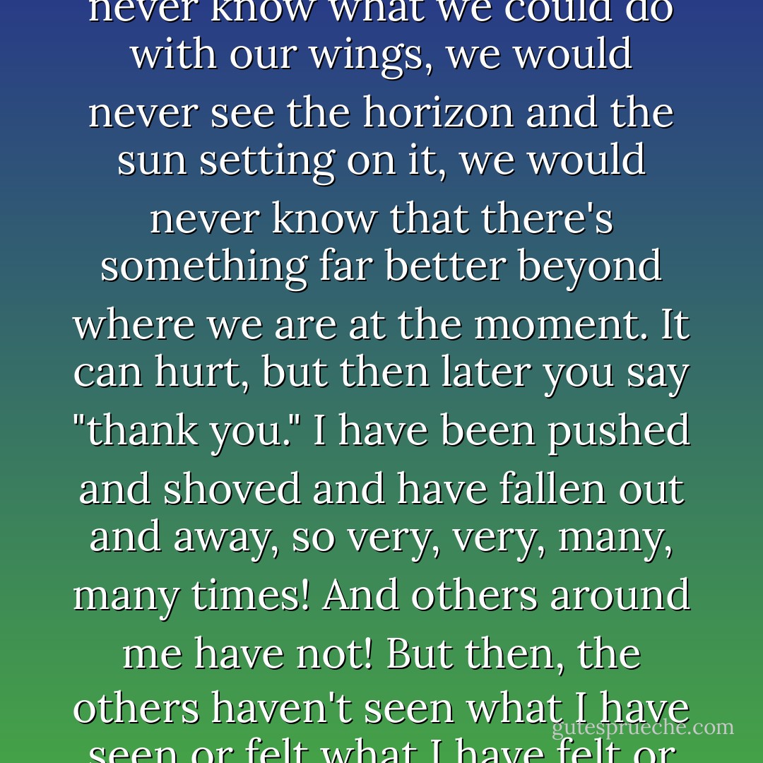 I feel that we are often taken out of our comfort zones, pushed and shoved out of our nests, because if not, we would never know what we could do with our wings, we would never see the horizon and the sun setting on it, we would never know that there's something far better beyond where we are at the moment. It can hurt, but then later you say "thank you." I have been pushed and shoved and have fallen out and away, so very, very, many, many times! And others around me have not! But then, the others haven't seen what I have seen or felt what I have felt or been who I have been, they can't become what I have become. I am me. - C. JoyBell C.