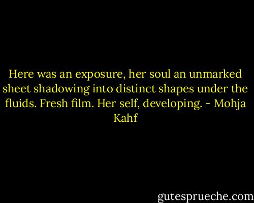 Here was an exposure, her soul an unmarked sheet shadowing into distinct shapes under the fluids. Fresh film. Her self, developing. - Mohja Kahf