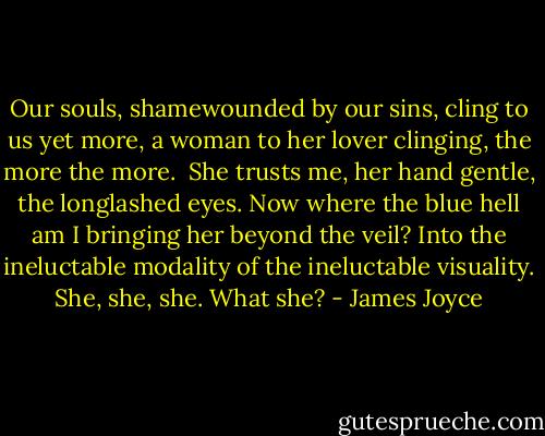 Our souls, shamewounded by our sins, cling to us yet more, a woman to her lover clinging, the more the more. <br />She trusts me, her hand gentle, the longlashed eyes. Now where the blue hell am I bringing her beyond the veil? Into the ineluctable modality of the ineluctable visuality. She, she, she. What she? - James Joyce