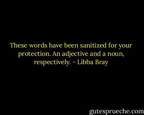 These words have been sanitized for your protection. An adjective and a noun, respectively. - Libba Bray