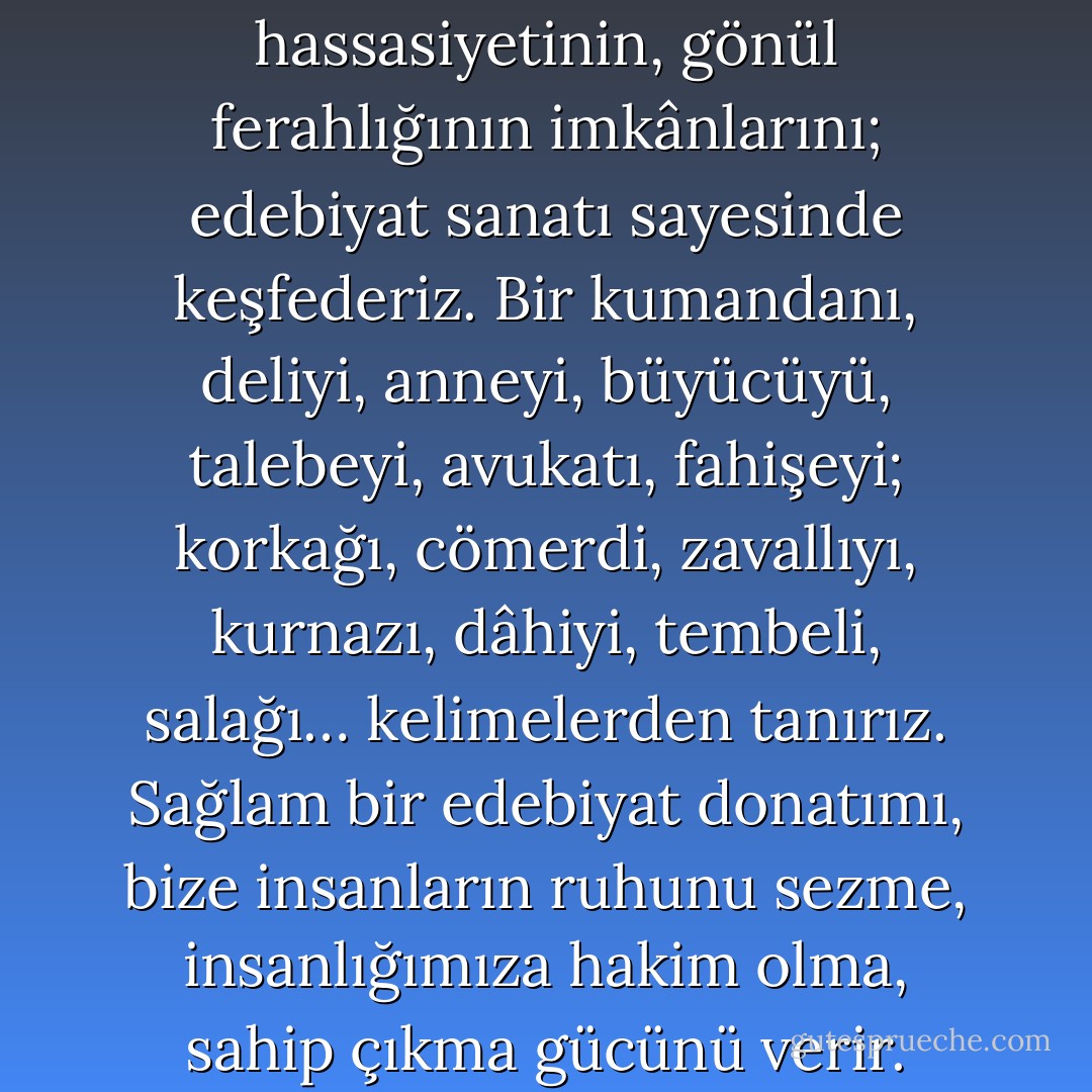 Zihnimizi edebiyat dekore eder. Kalbimiz ile beynimiz arasında işlek kanallar, koridorlar, tüneller açar. Ahlaki olgunluğun, vicdan hassasiyetinin, gönül ferahlığının imkânlarını; edebiyat sanatı sayesinde keşfederiz. Bir kumandanı, deliyi, anneyi, büyücüyü, talebeyi, avukatı, fahişeyi; korkağı, cömerdi, zavallıyı, kurnazı, dâhiyi, tembeli, salağı… kelimelerden tanırız. Sağlam bir edebiyat donatımı, bize insanların ruhunu sezme, insanlığımıza hakim olma, sahip çıkma gücünü verir. Birbirimizi hakikaten tanımamız, sahiden anlamamız, derinden kavramamız edebiyat sayesindedir. - Murat Menteş