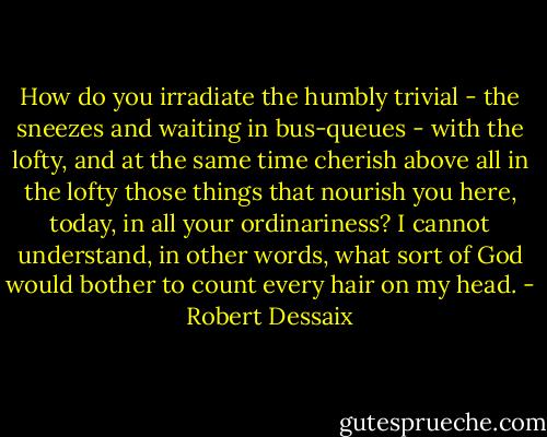 How do you irradiate the humbly trivial - the sneezes and waiting in bus-queues - with the lofty, and at the same time cherish above all in the lofty those things that nourish you here, today, in all your ordinariness? I cannot understand, in other words, what sort of God would bother to count every hair on my head. - Robert Dessaix