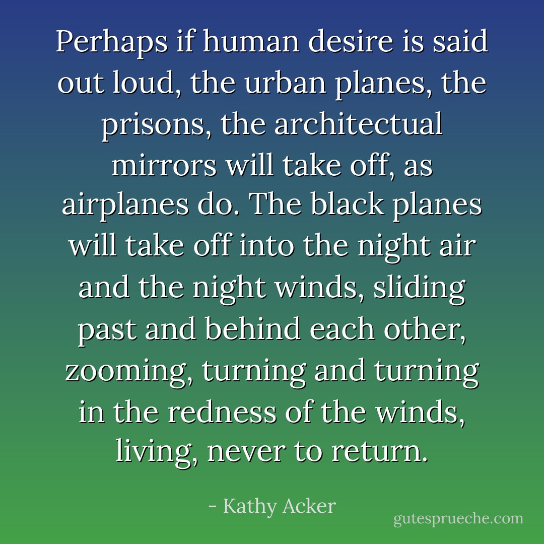 Perhaps if human desire is said out loud, the urban planes, the prisons, the architectual mirrors will take off, as airplanes do. The black planes will take off into the night air and the night winds, sliding past and behind each other, zooming, turning and turning in the redness of the winds, living, never to return. - Kathy Acker