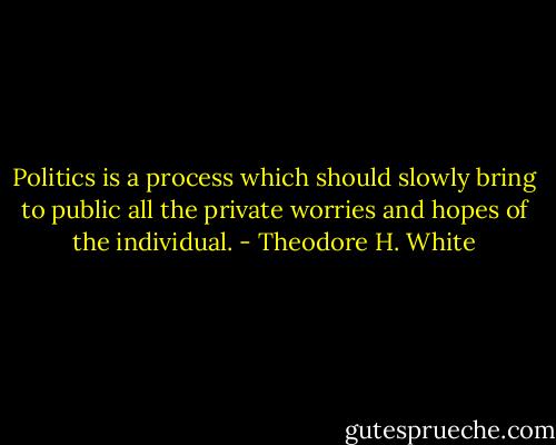 Politics is a process which should slowly bring to public all the private worries and hopes of the individual. - Theodore H. White