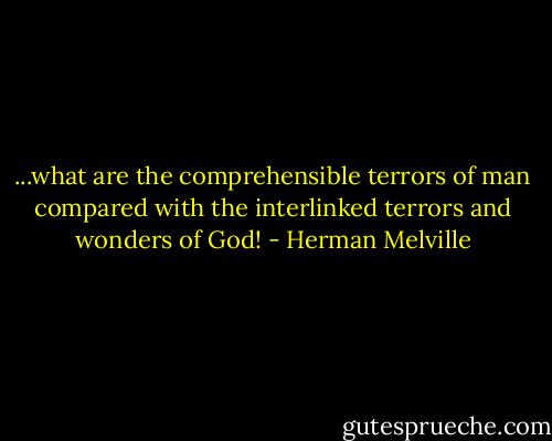 ...what are the comprehensible terrors of man compared with the interlinked terrors and wonders of God! - Herman Melville