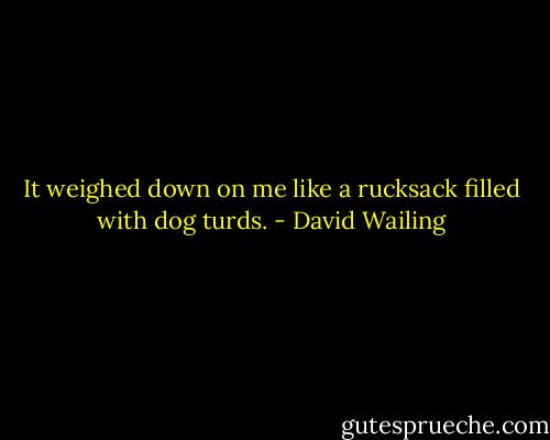 It weighed down on me like a rucksack filled with dog turds. - David Wailing