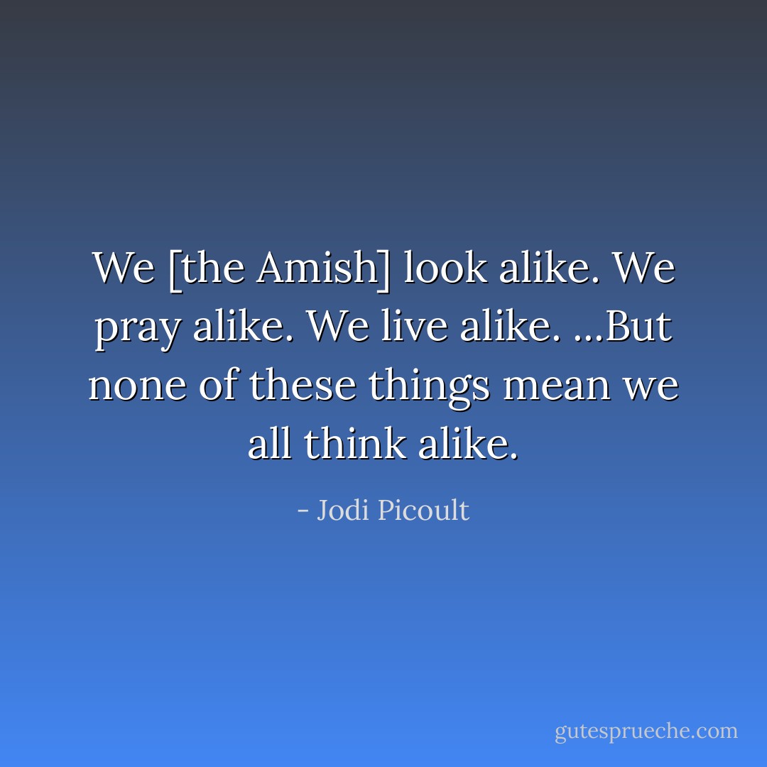 We [the Amish] look alike. We pray alike. We live alike. ...But none of these things mean we all think alike. - Jodi Picoult