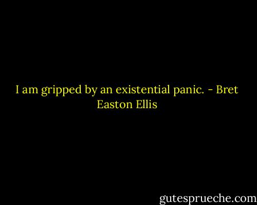 I am gripped by an existential panic. - Bret Easton Ellis