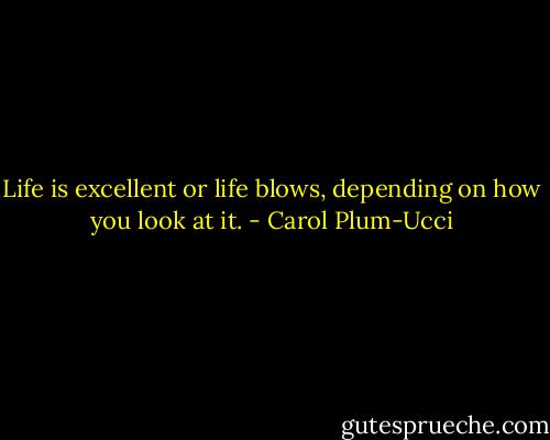 Life is excellent or life blows, depending on how you look at it. - Carol Plum-Ucci