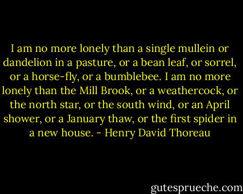 I am no more lonely than a single mullein or dandelion in a pasture, or a<br />bean leaf, or sorrel, or a horse-fly, or a bumblebee. I am no more lonely<br />than the Mill Brook, or a weathercock, or the north star, or the south<br />wind, or an April shower, or a January thaw, or the first spider in a new<br />house. - Henry David Thoreau