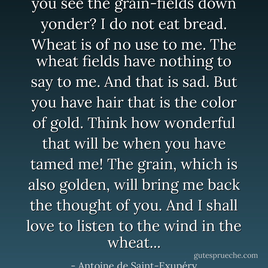 you see the grain-fields down yonder? I do not eat bread. Wheat is of no use to me. The wheat fields have nothing to say to me. And that is sad. But you have hair that is the color of gold. Think how wonderful that will be when you have tamed me! The grain, which is also golden, will bring me back the thought of you. And I shall love to listen to the wind in the wheat... - Antoine de Saint-Exupéry