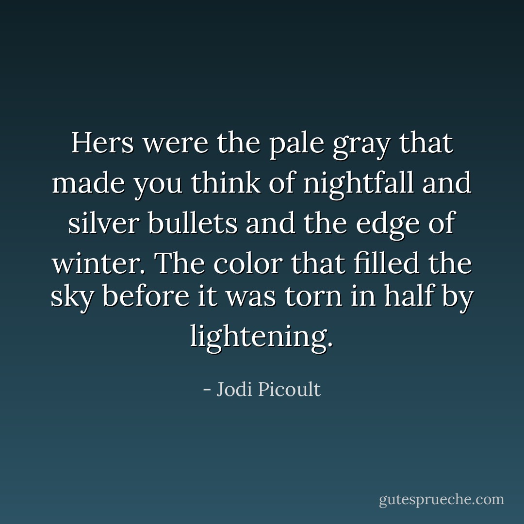 Hers were the pale gray that made you think of nightfall and silver bullets and the edge of winter. The color that filled the sky before it was torn in half by lightening. - Jodi Picoult