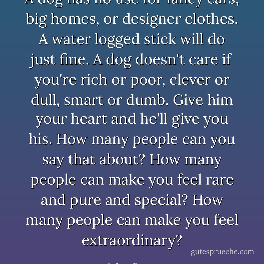 A dog has no use for fancy cars, big homes, or designer clothes. A water logged stick will do just fine. A dog doesn't care if you're rich or poor, clever or dull, smart or dumb. Give him your heart and he'll give you his. How many people can you say that about? How many people can make you feel rare and pure and special? How many people can make you feel extraordinary? - John Grogan