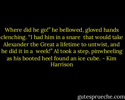 Where did he go!” he bellowed, gloved hands clenching. “I had him in a snare <br />that would take Alexander the Great a lifetime to untwist, and he did it in a <br />week!” Al took a step, pinwheeling as his booted heel found an ice cube. - Kim Harrison