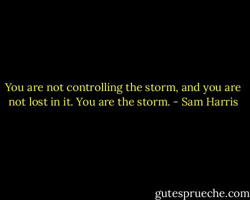 You are not controlling the storm, and you are not lost in it. You are the storm. - Sam Harris