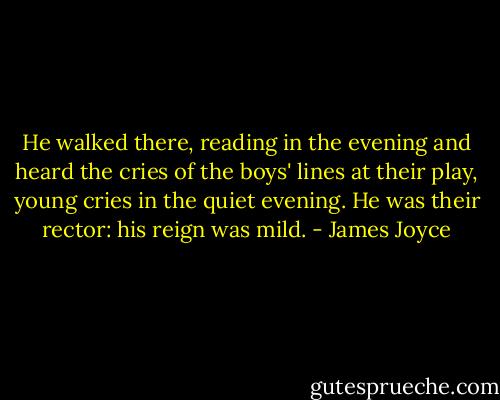 He walked there, reading in the evening and heard the cries of the boys' lines at their play, young cries in the quiet evening. He was their rector: his reign was mild. - James Joyce
