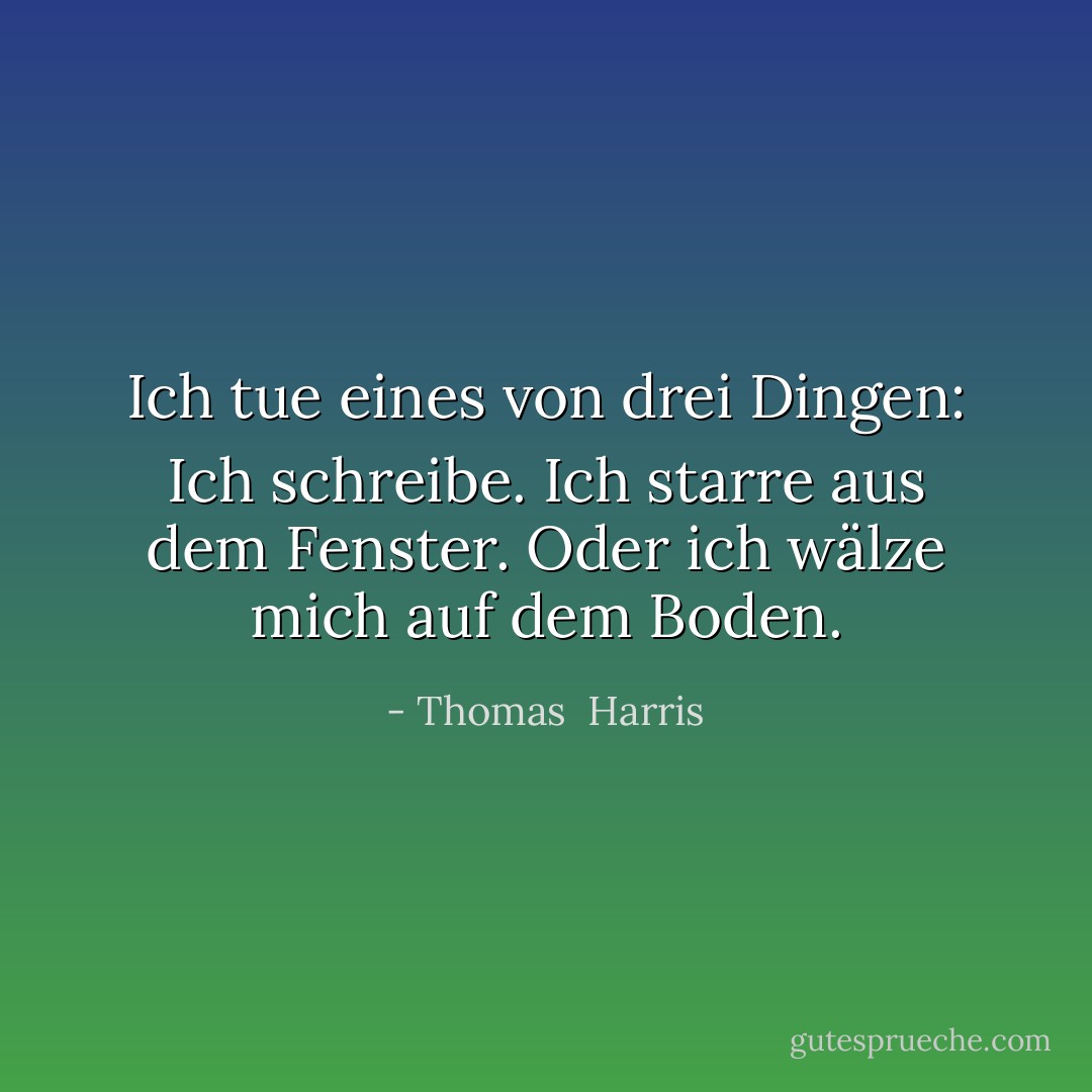 Ich tue eines von drei Dingen: Ich schreibe. Ich starre aus dem Fenster. Oder ich wälze mich auf dem Boden. - Thomas  Harris<