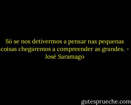 Só se nos detivermos a pensar nas pequenas coisas chegaremos a compreender as grandes. - José Saramago
