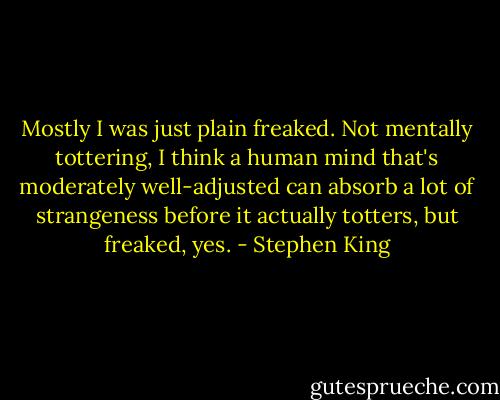 Mostly I was just plain freaked. Not mentally tottering, I think a human mind that's moderately well-adjusted can absorb a lot of strangeness before it actually totters, but freaked, yes. - Stephen King