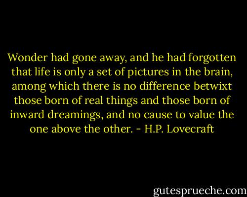 Wonder had gone away, and he had forgotten that life is only a set of pictures in the brain, among which there is no difference betwixt those born of real things and those born of inward dreamings, and no cause to value the one above the other. - H.P. Lovecraft