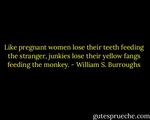 Like pregnant women lose their teeth feeding the stranger, junkies lose their yellow fangs feeding the monkey. - William S. Burroughs