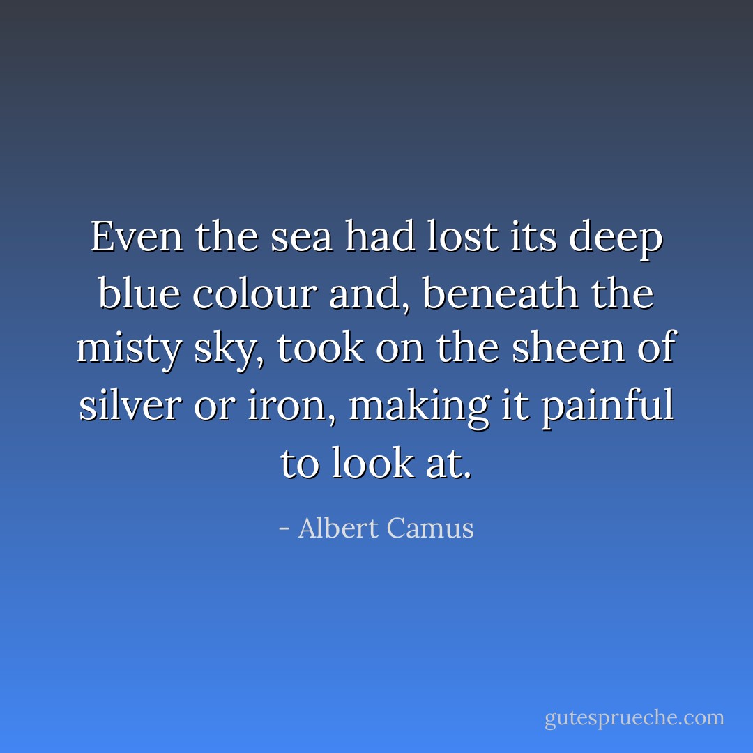 Even the sea had lost its deep blue colour and, beneath the misty sky, took on the sheen of silver or iron, making it painful to look at. - Albert Camus
