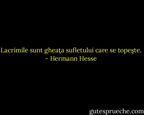 Lacrimile sunt gheaţa sufletului care se topeşte. - Hermann Hesse