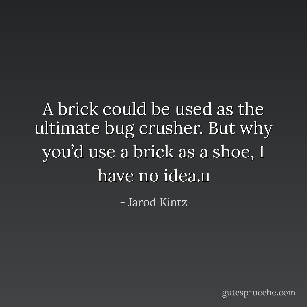 A brick could be used as the ultimate bug crusher. But why you’d use a brick as a shoe, I have no idea.  - Jarod Kintz