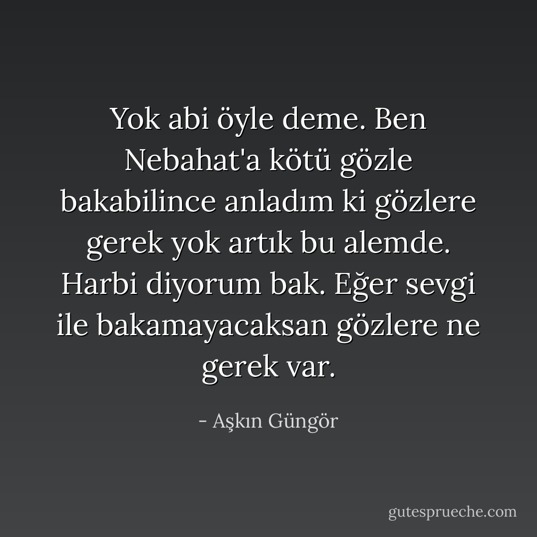 Yok abi öyle deme. Ben Nebahat'a kötü gözle bakabilince anladım ki gözlere gerek yok artık bu alemde. Harbi diyorum bak. Eğer sevgi ile bakamayacaksan gözlere ne gerek var. - Aşkın Güngör