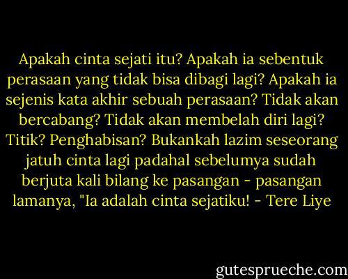 Apakah cinta sejati itu? Apakah ia sebentuk perasaan yang tidak bisa dibagi lagi? Apakah ia sejenis kata akhir sebuah perasaan? Tidak akan bercabang? Tidak akan membelah diri lagi? Titik? Penghabisan? Bukankah lazim seseorang jatuh cinta lagi padahal sebelumya sudah berjuta kali bilang ke pasangan - pasangan lamanya, "Ia adalah cinta sejatiku! - Tere Liye
