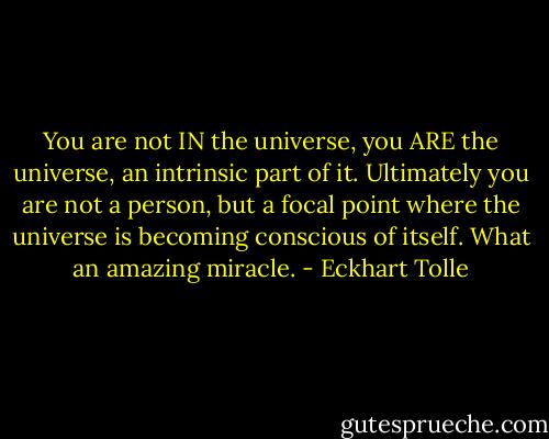 You are not IN the universe, you ARE the universe, an intrinsic part of it. Ultimately you are not a person, but a focal point where the universe is becoming conscious of itself. What an amazing miracle. - Eckhart Tolle