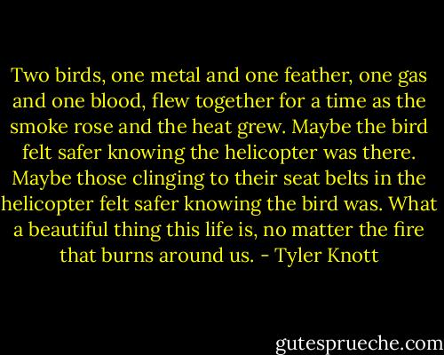 Two birds, one metal and one feather, one gas and one blood, flew together for a time as the smoke rose and the heat grew. Maybe the bird felt safer knowing the helicopter was there. Maybe those clinging to their seat belts in the helicopter felt safer knowing the bird was. What a beautiful thing this life is, no matter the fire that burns around us. - Tyler Knott