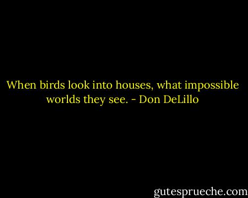 When birds look into houses, what impossible worlds they see. - Don DeLillo