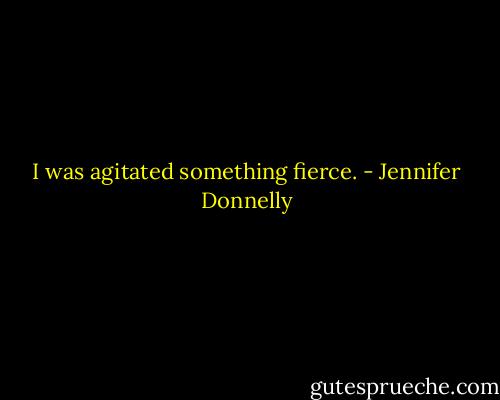 I was agitated something fierce. - Jennifer Donnelly