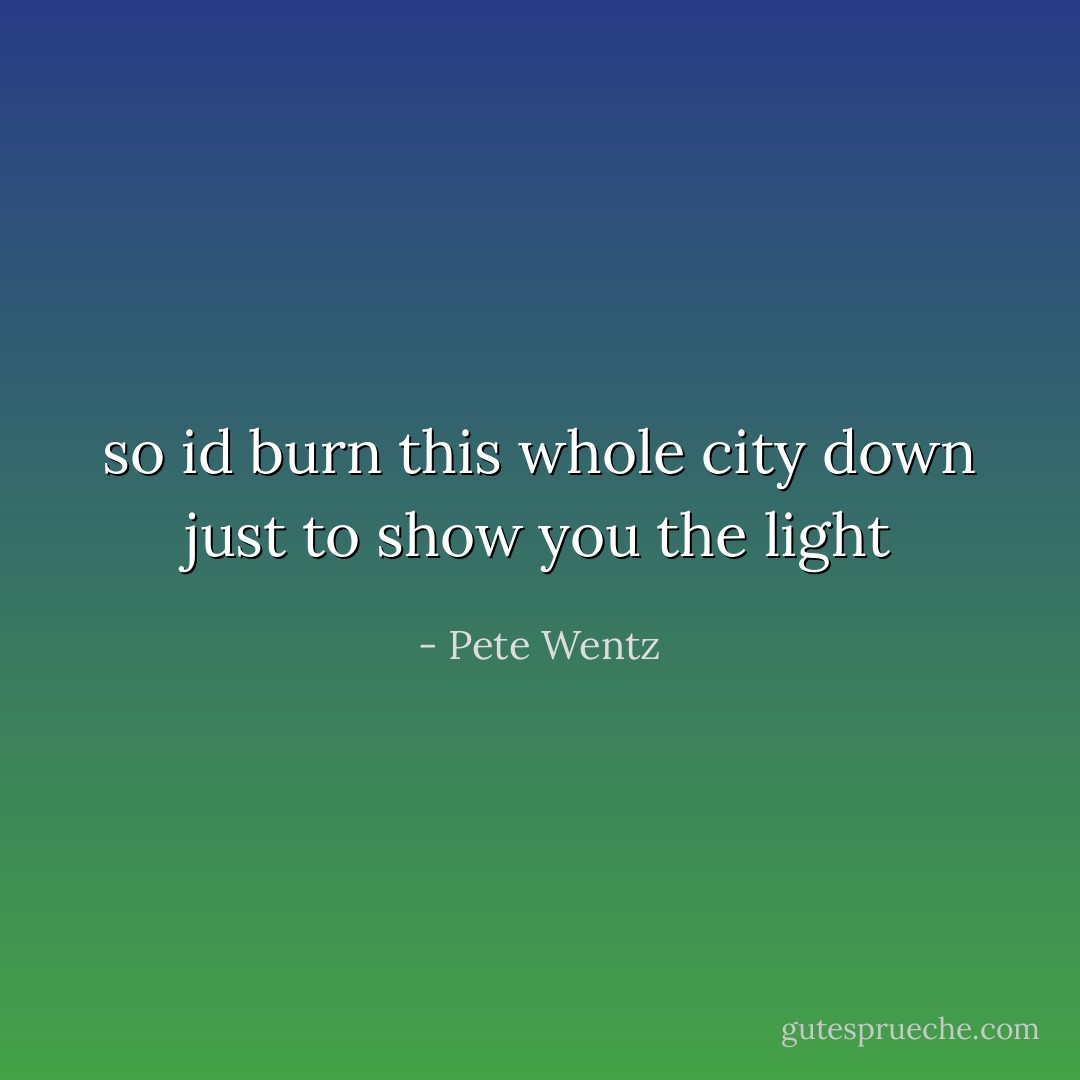 so id burn this whole city down just to show you the light - Pete Wentz