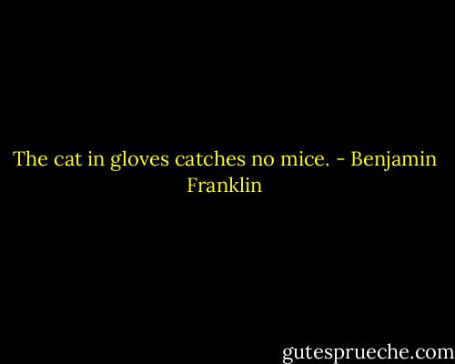 The cat in gloves catches no mice. - Benjamin Franklin