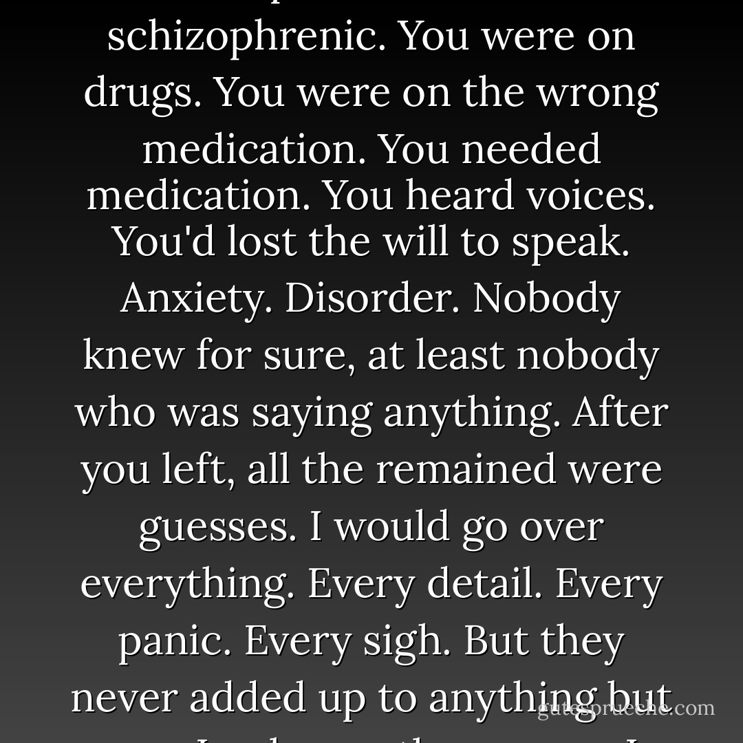 It was your mind. The way you were wired. That was the only thing all the theories had in common. You were manic. You were depressive. You were schizophrenic. You were on drugs. You were on the wrong medication. You needed medication. You heard voices. You'd lost the will to speak. Anxiety. Disorder. Nobody knew for sure, at least nobody who was saying anything. After you left, all the remained were guesses. I would go over everything. Every detail. Every panic. Every sigh. But they never added up to anything but you. I only saw the person. I couldn't see the wiring. I couldn't fix the wiring. <br />I tried I tried I - David Levithan