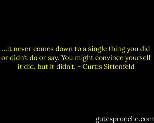 …it never comes down to a single thing you did or didn’t do or say. You might convince yourself it did, but it didn’t. - Curtis Sittenfeld