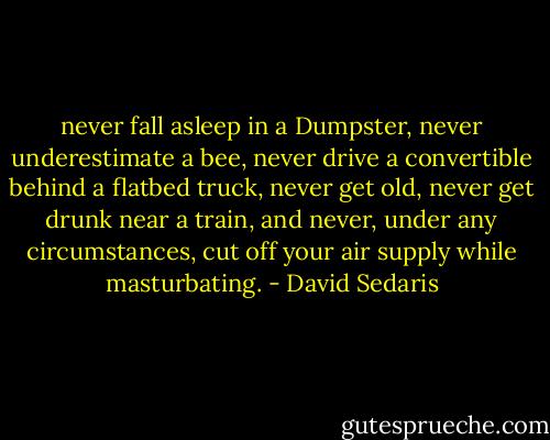never fall asleep in a Dumpster, never underestimate a bee, never drive a convertible behind a flatbed truck, never get old, never get drunk near a train, and never, under any circumstances, cut off your air supply while masturbating. - David Sedaris