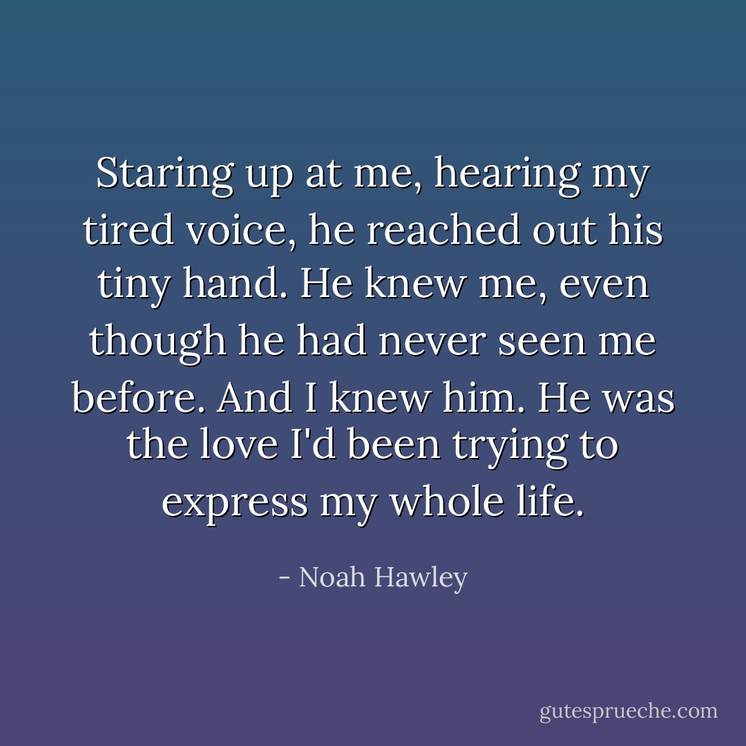 Staring up at me, hearing my tired voice, he reached out his tiny hand. He knew me, even though he had never seen me before. And I knew him. He was the love I'd been trying to express my whole life. - Noah Hawley